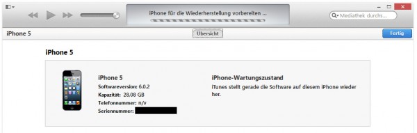 iPhone 5 Wiederherstellung auf iOS 6.1